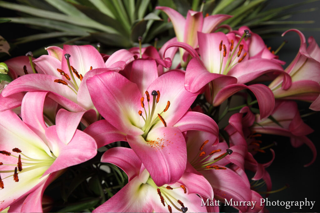 Wedding Ceremony Floral Detail