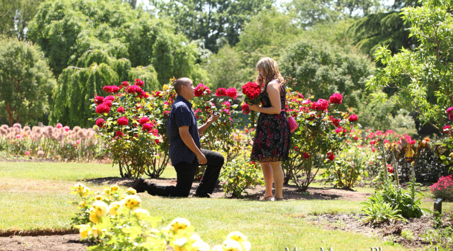 Vancouver Queen Elizabeth Park Candid Engagement Proposal