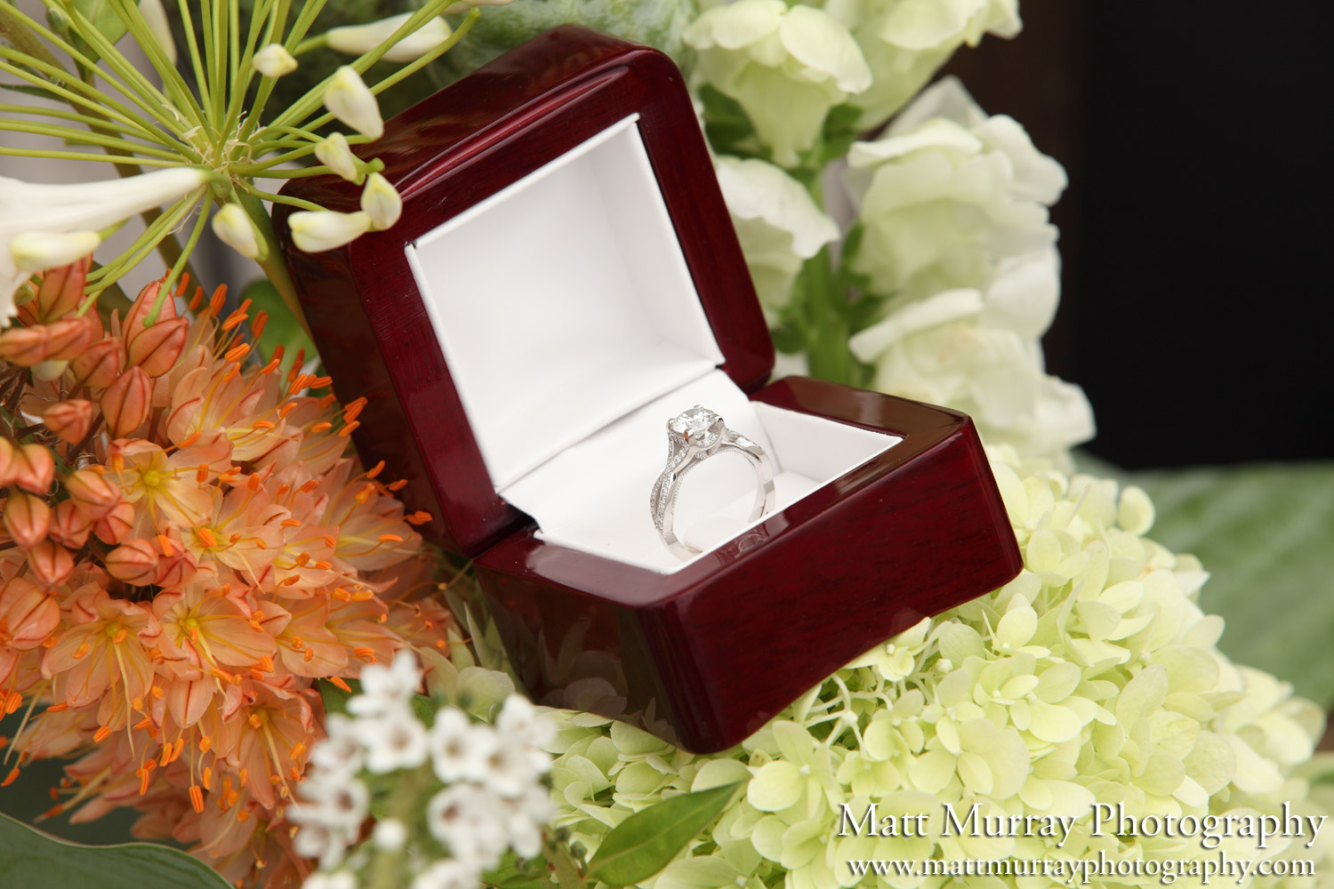 Engagement Ring Detail Case