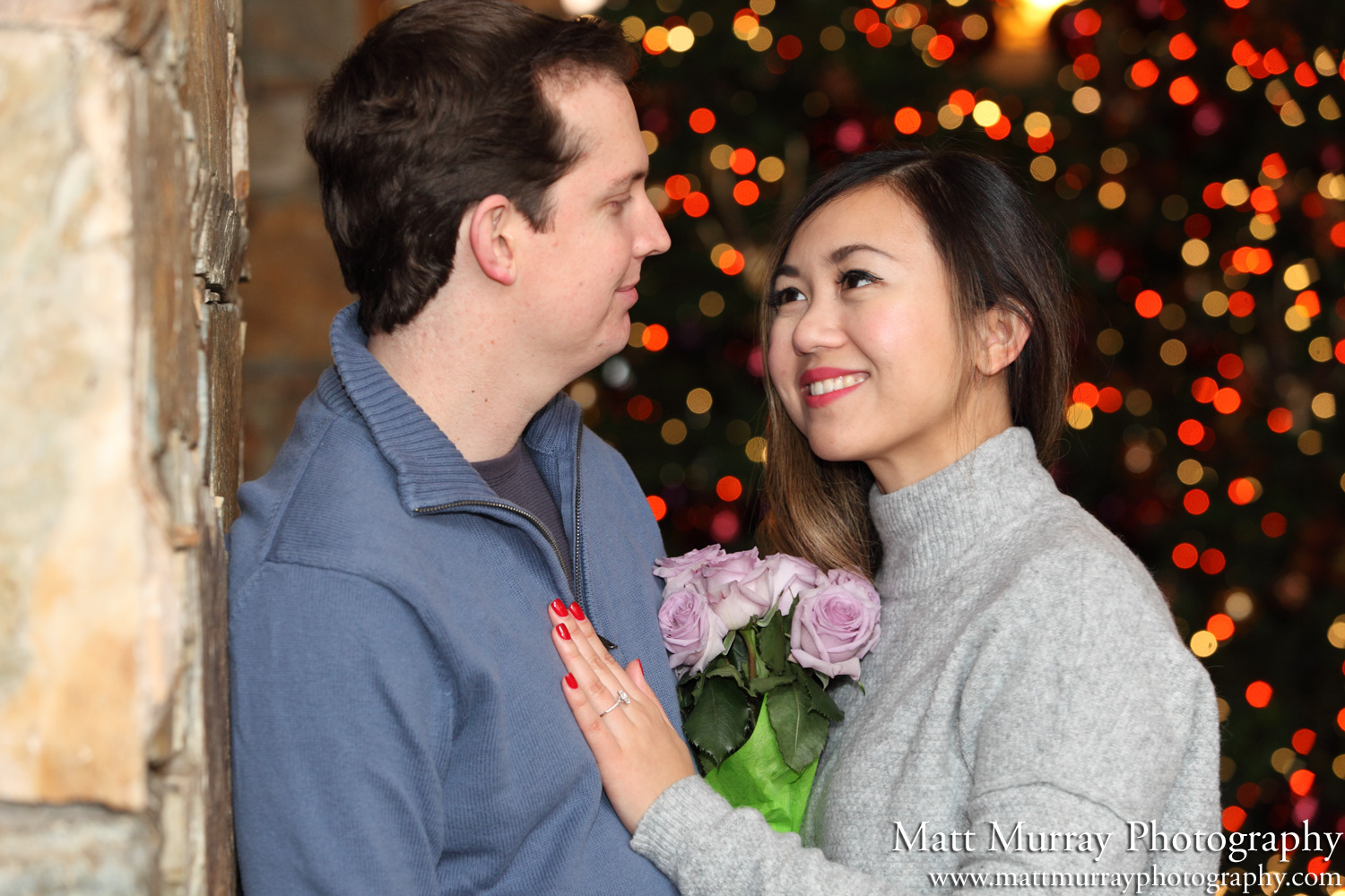 Professional Engagement Portrait Photography