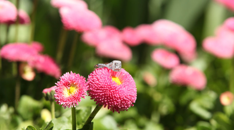 Engagement Ceremony Photography At Queen Elizabeth Park