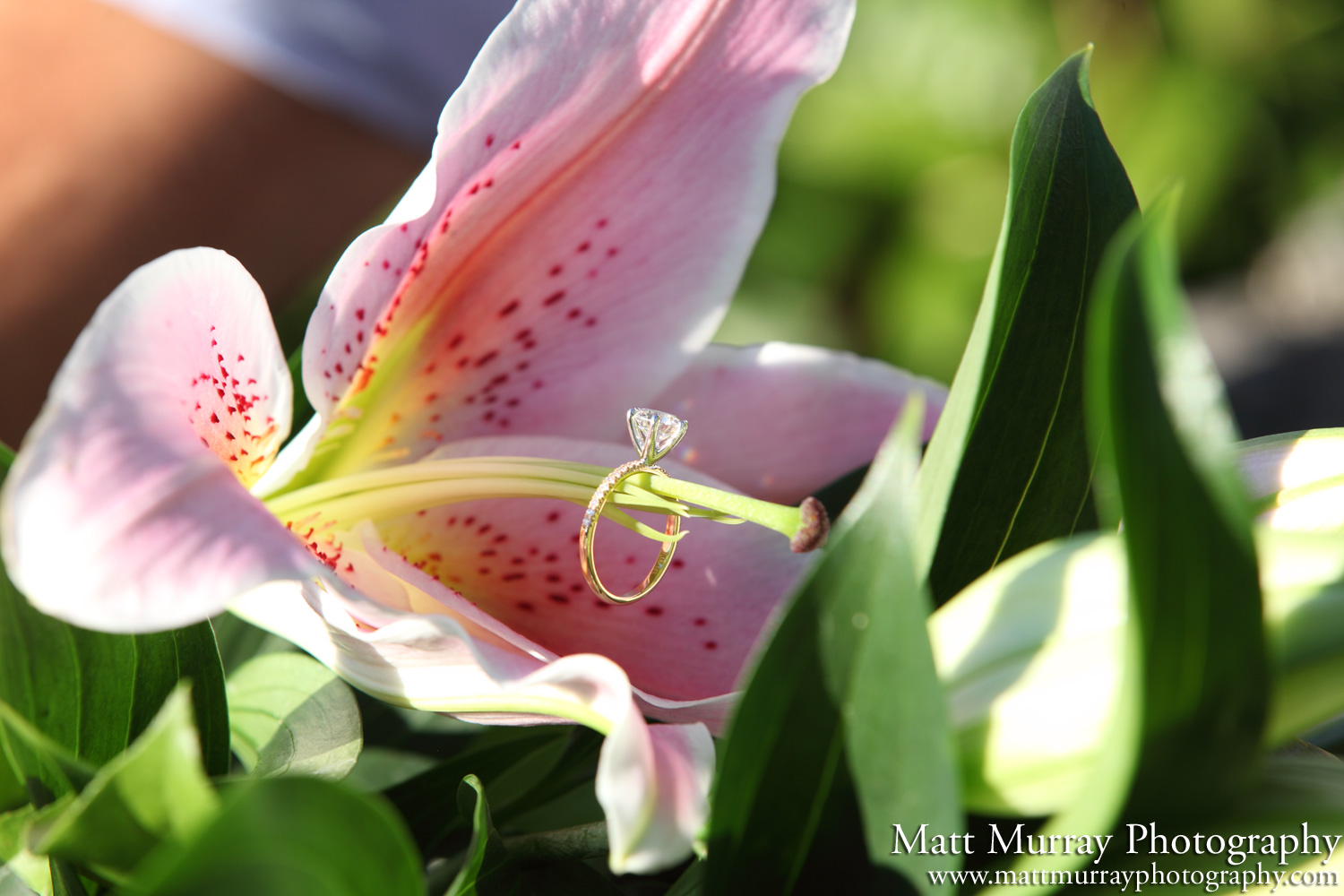 Vancouver Professional Engagement Photography Services