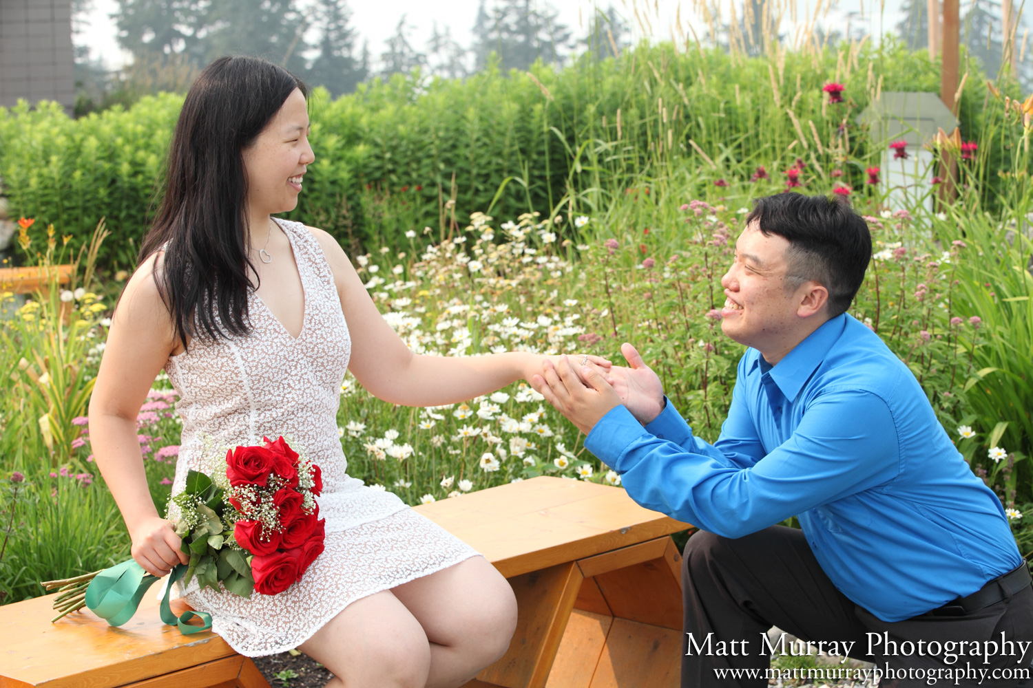 Summer Engagement Proposal Grouse Mountain BC Canada