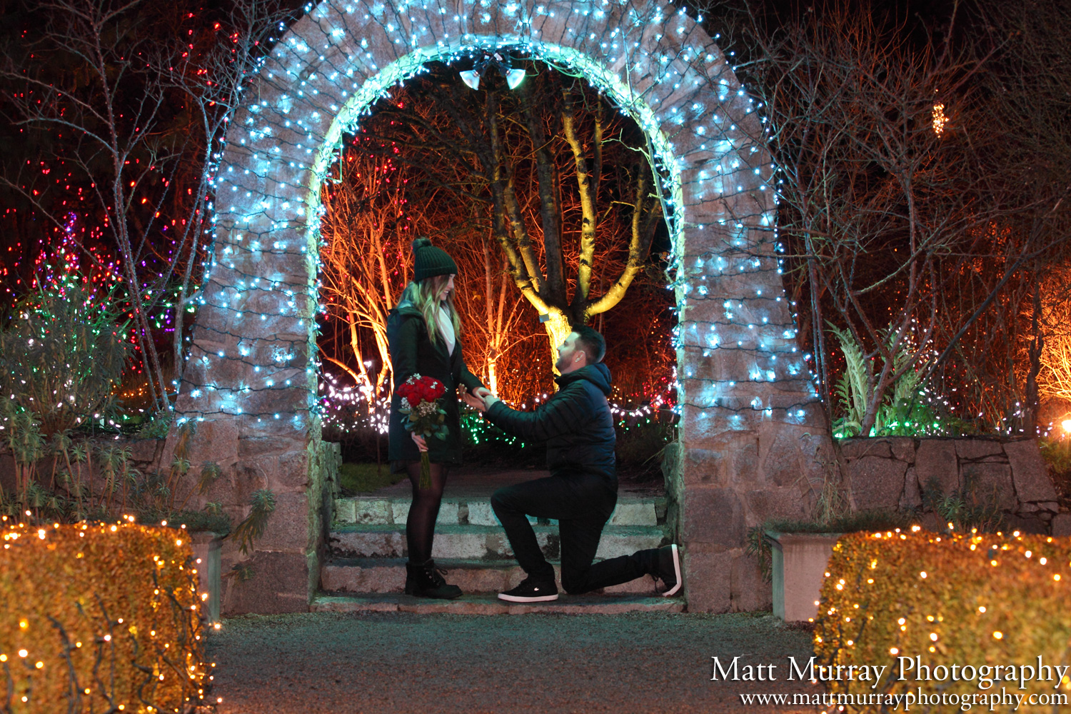 Engagement Proposal VanDusen Festival Of Lights