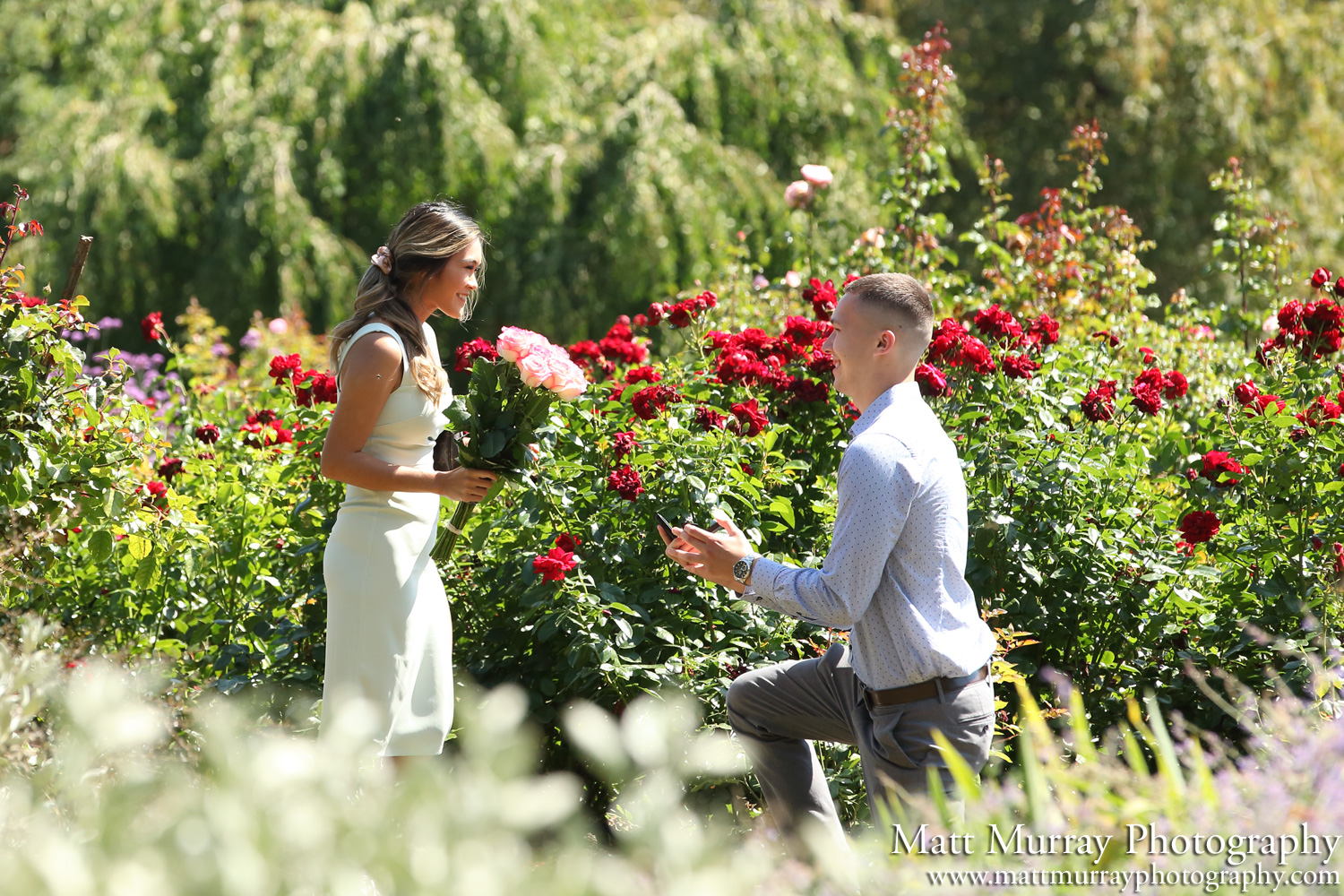 Summer Engagement Rose Garden Queen Elizabeth Park