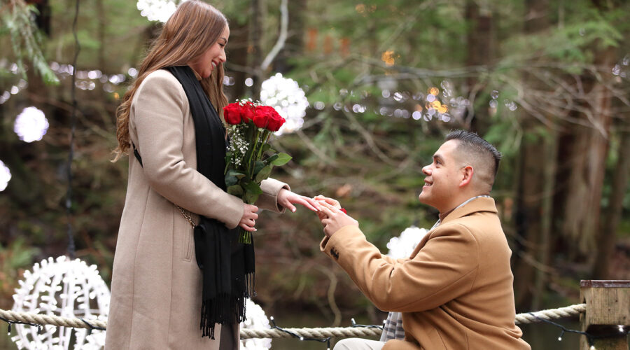 Capilano Suspension Bridge Engagement Proposal