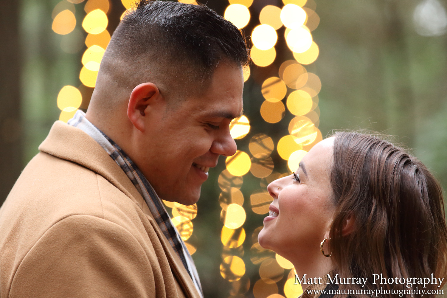 Capilano Suspension Bridge Engagement Proposal