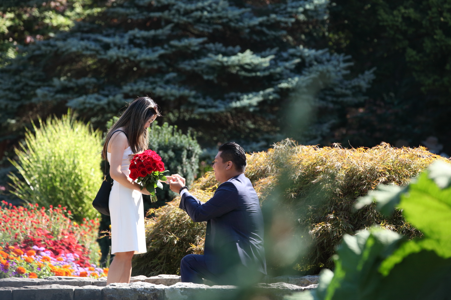 Engagement Proposal Queen E Park Vancouver BC