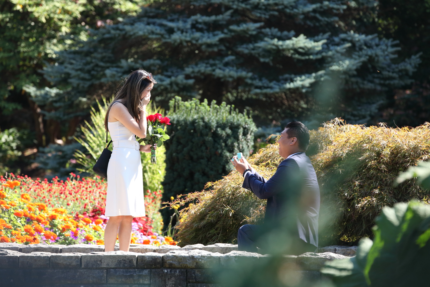 Queen Elizabeth Park Fall Season Engagement Proposal