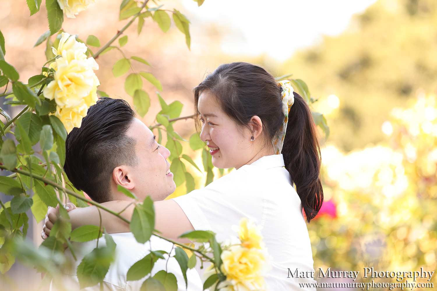 Nitobe Memorial Garden Engagement Proposal