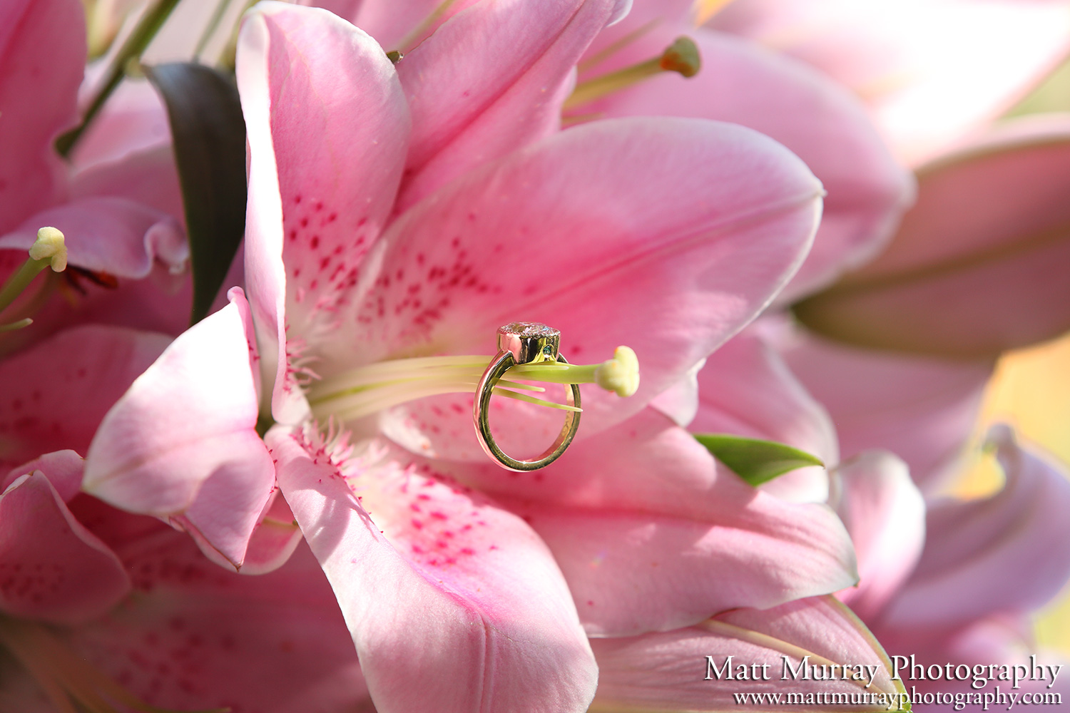 Vancouver BC Park Engagement Proposal Flowers & Ring