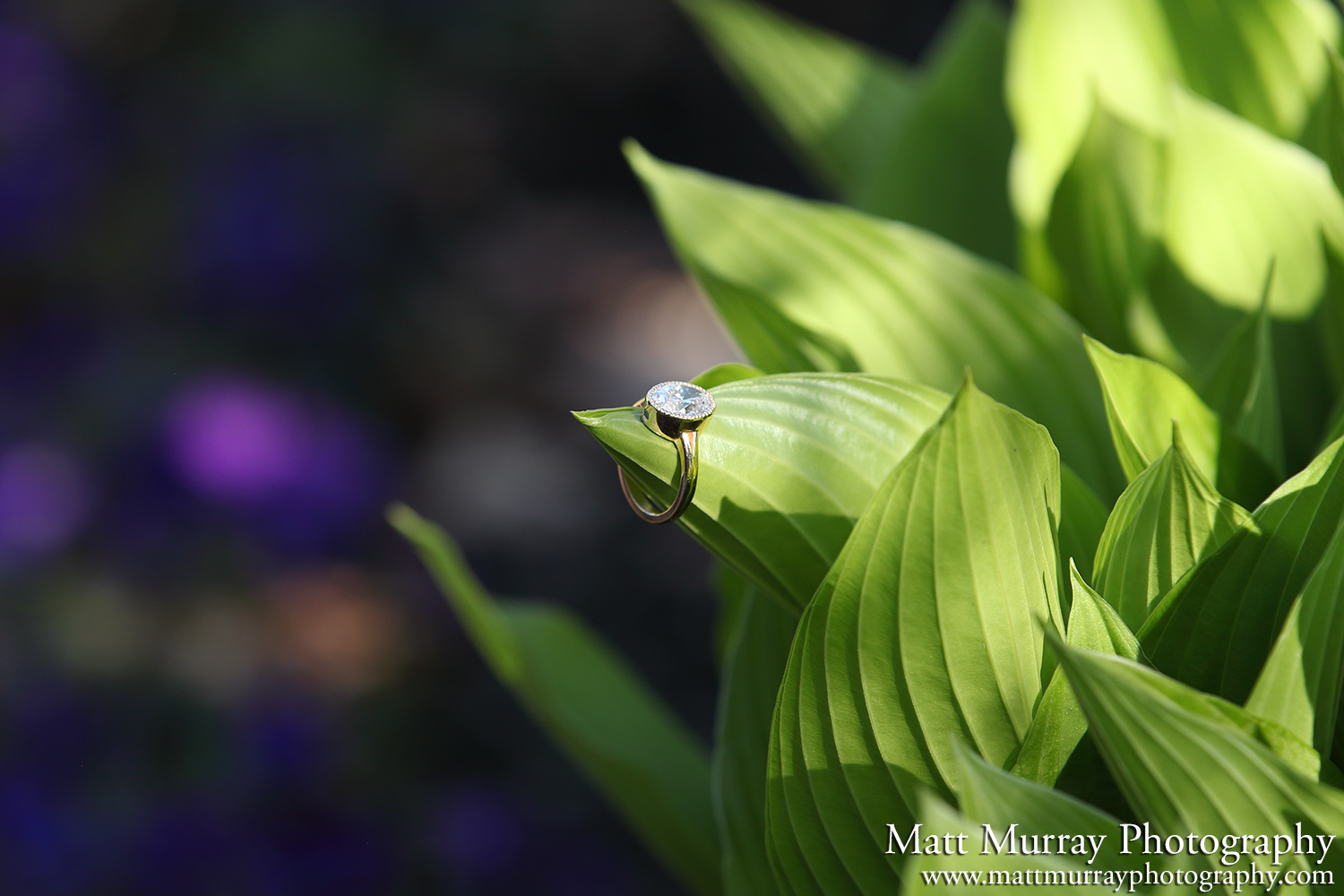 Vancouver BC Spring Season Engagement Proposal Ring
