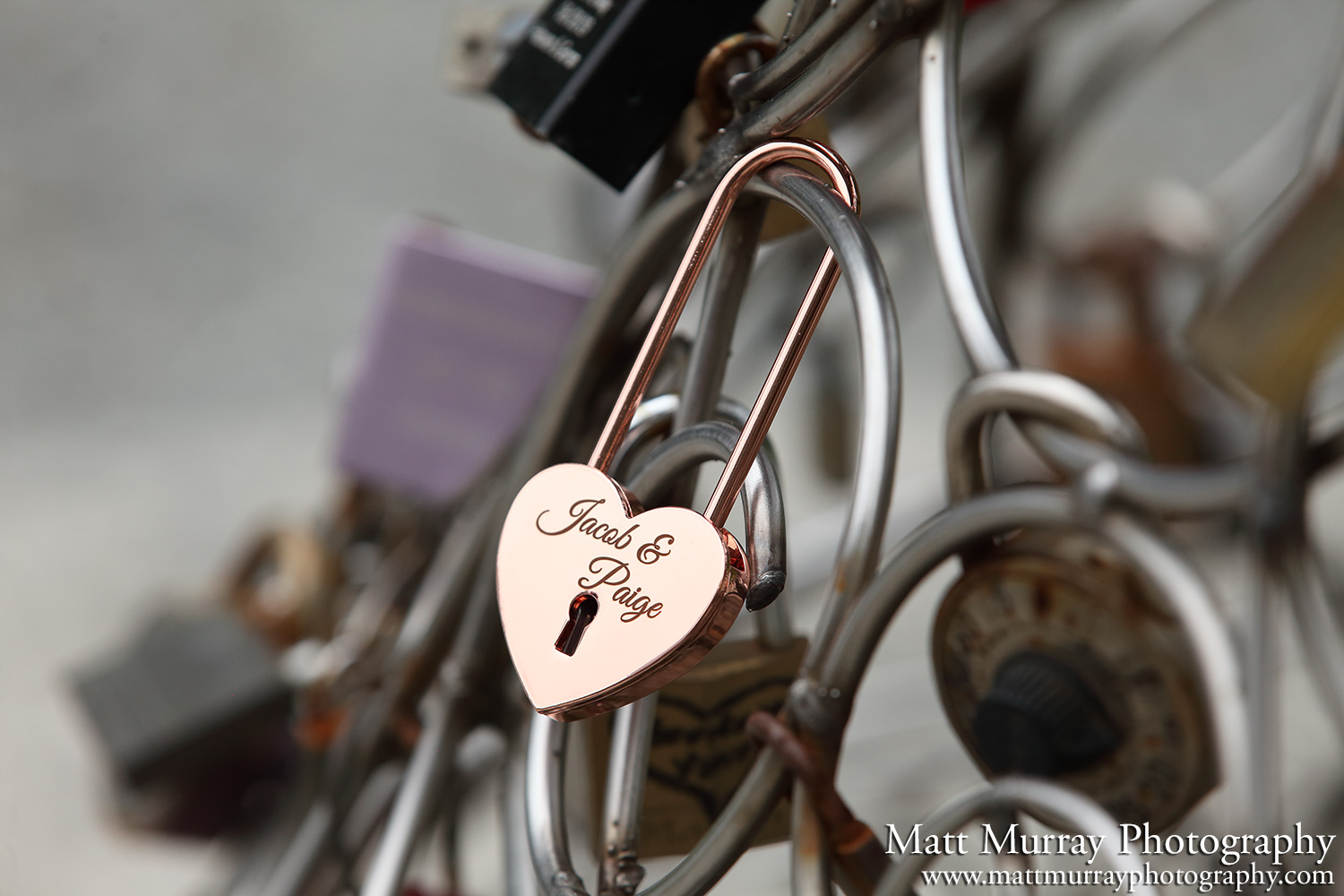 Love Lock Statue Engagement Proposal Queen Elizabeth Park