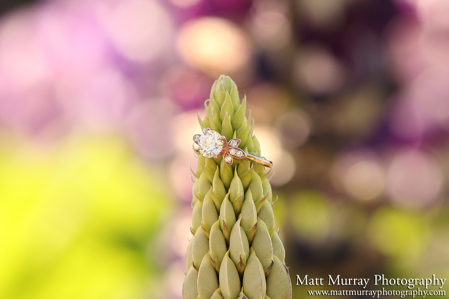 Surprise Engagement Proposal Ring Detail Flower