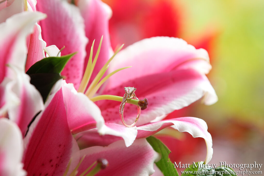 Surprise Engagement Proposals In Vancouver