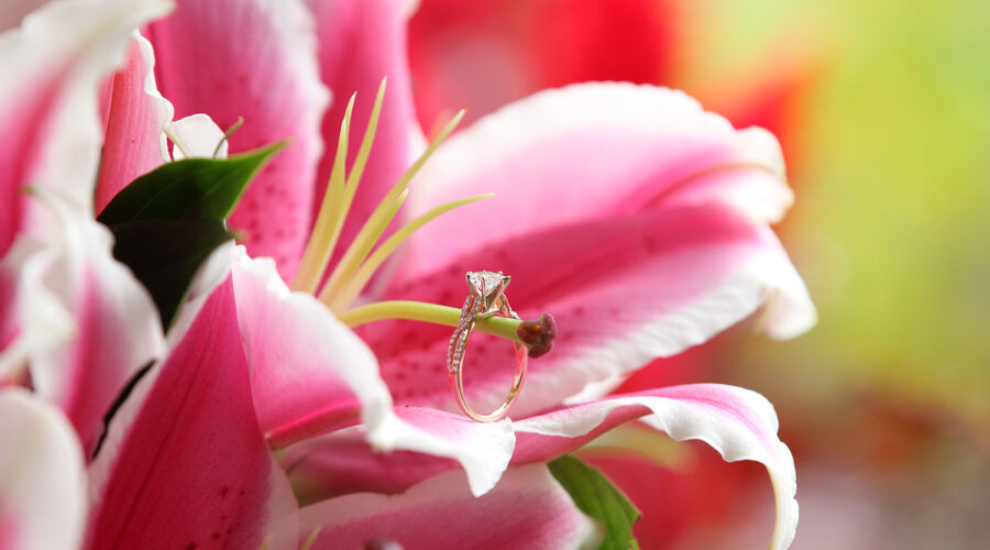 Surprise Engagement Proposals In Vancouver