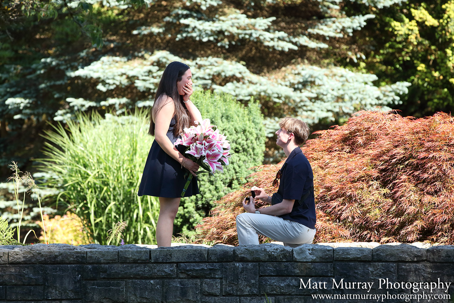 Surprise Engagement Proposal Vancouver Bridge Park