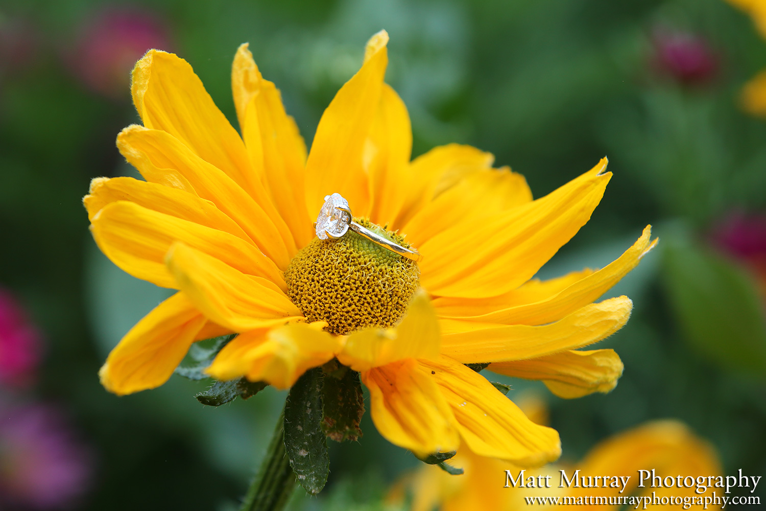 Engagement Proposal Photo Service Vancouver BC Canada