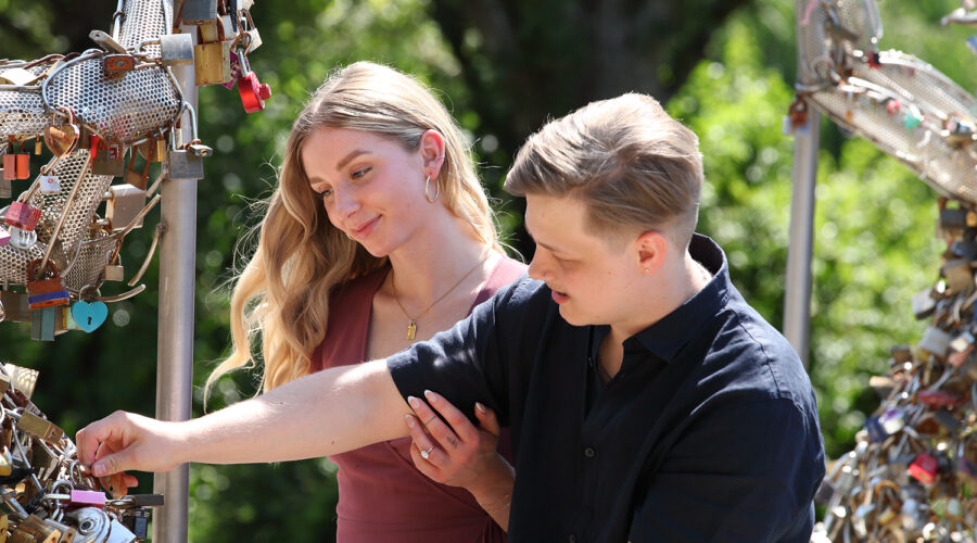 Surprise Vancouver Park Engagement Proposal