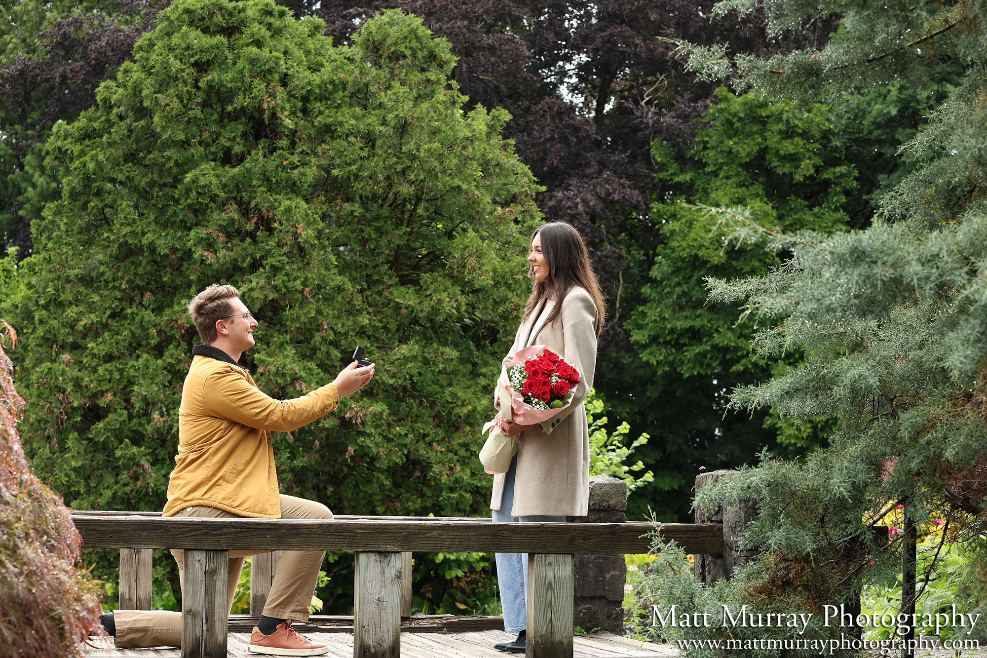 A surprise engagement proposal at the park during Summer season.