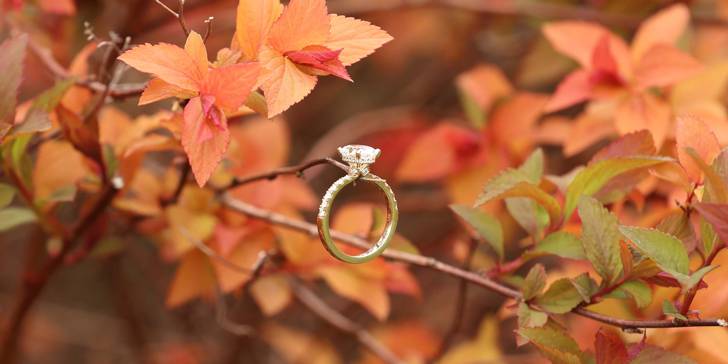 Engagement Photography Services