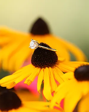 Engagement Proposal Ring Detail