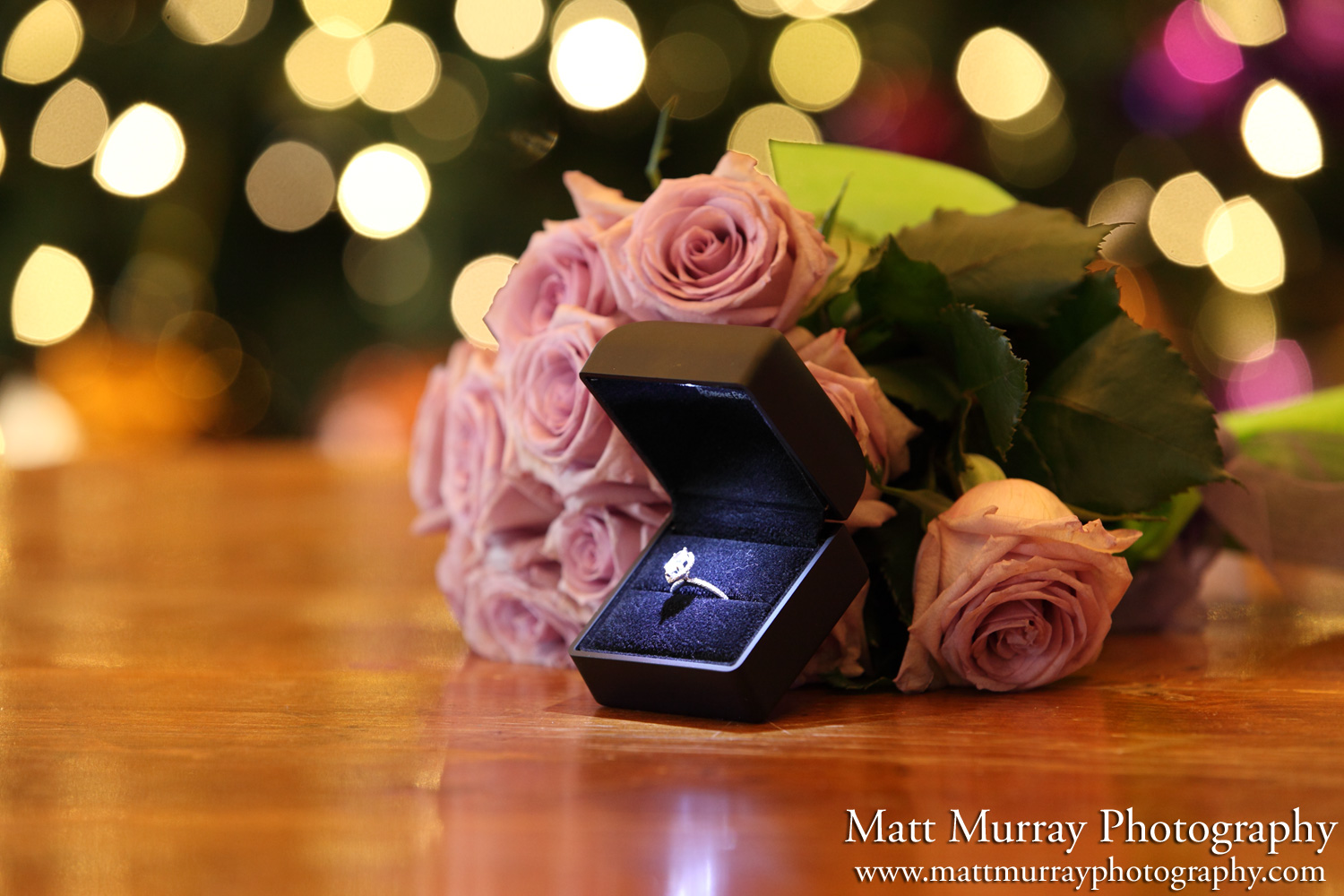 vancouver-bc-canada-engagement-photographer